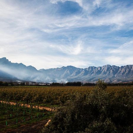 Bergsicht Country Farm Cottages Tulbagh Extérieur photo