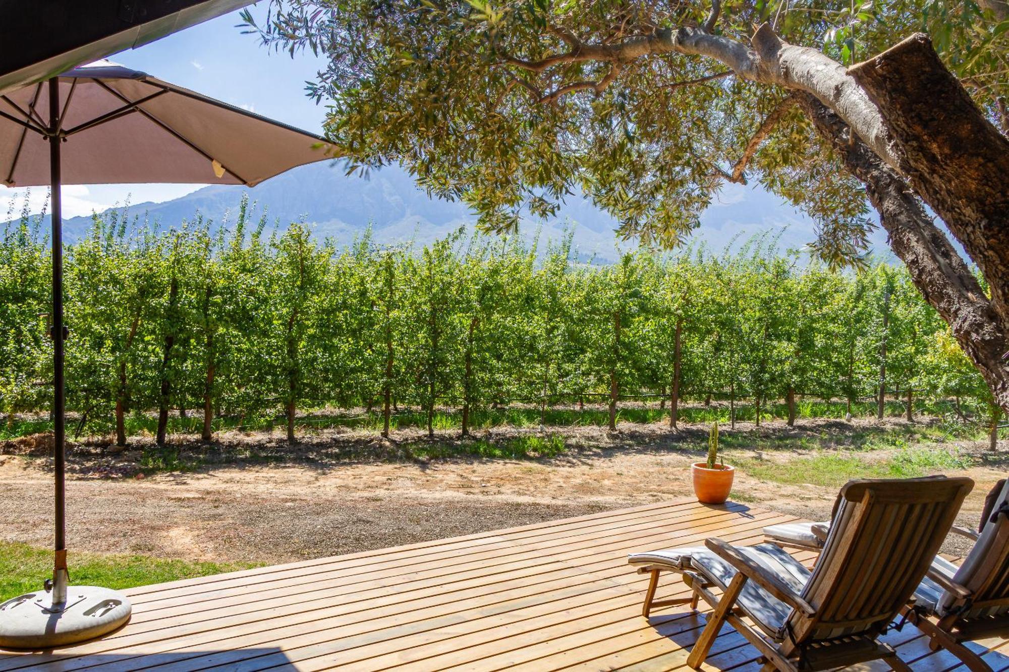 Bergsicht Country Farm Cottages Tulbagh Extérieur photo